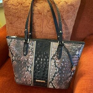 Brahmin Rattlesnake Luminary